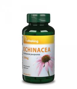 Vitaking Bíbor Kasvirág (Echinacea) 90db 