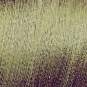 Elgon 10.3 platina arany szőke - 100 ml - vegán hajfesték 